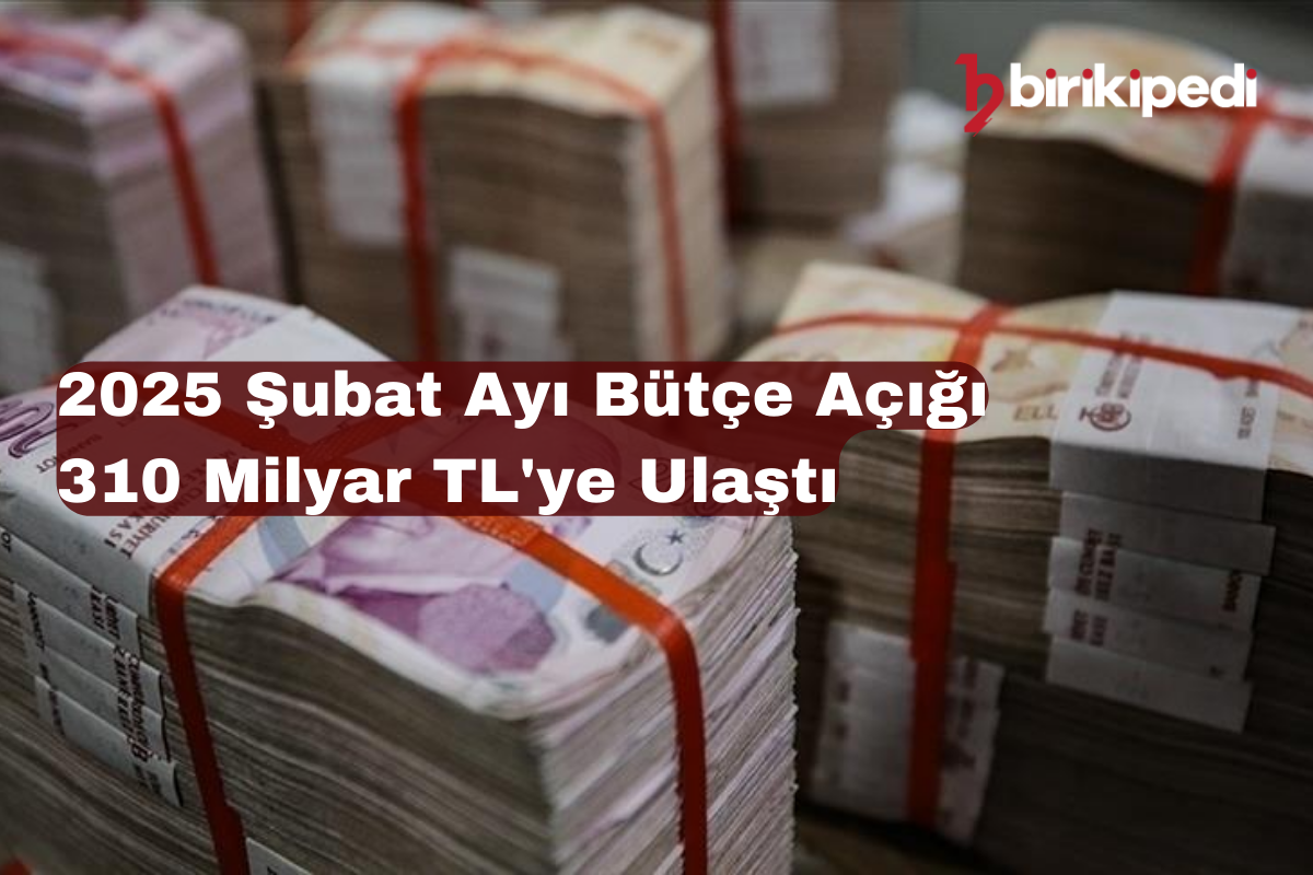2025 Şubat Ayı Bütçe Açığı 310 Milyar TL’ye Ulaştı