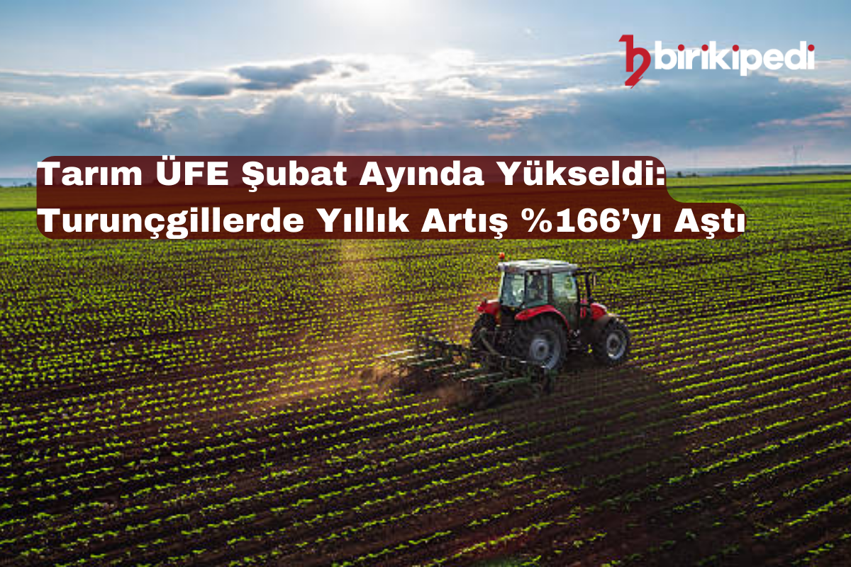 Tarım ÜFE Şubat Ayında Yükseldi: Turunçgillerde Yıllık Artış %166’yı Aştı